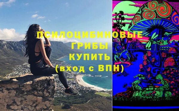 spice Елизово