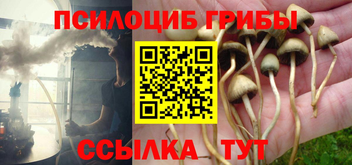 что такое наркотик  Псилоцибиновые грибы мицелий  Вход с VPN  Сердобск 